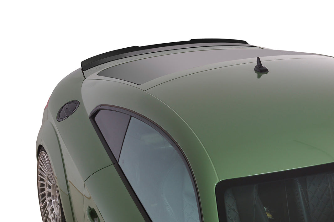 Audi TT 8S Roof Spoiler HF674-G