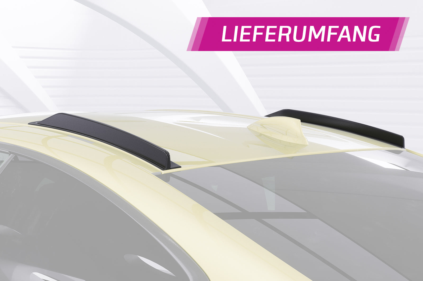 BMW 4/M4 F32/F82 Roof Fins DF006-G